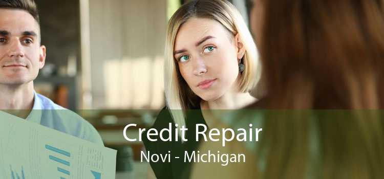 Credit Repair Novi - Michigan