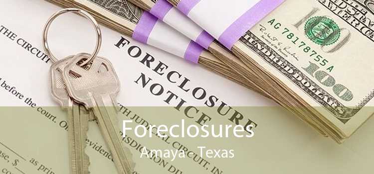 Foreclosures Amaya - Texas