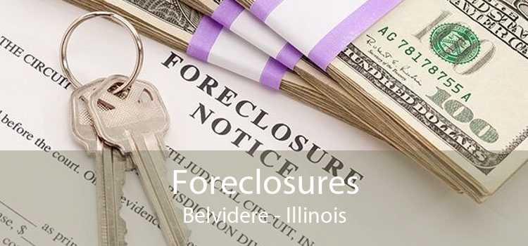 Foreclosures Belvidere - Illinois