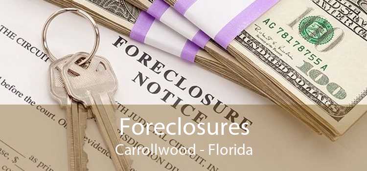 Foreclosures Carrollwood - Florida