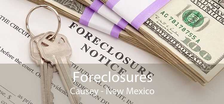 Foreclosures Causey - New Mexico