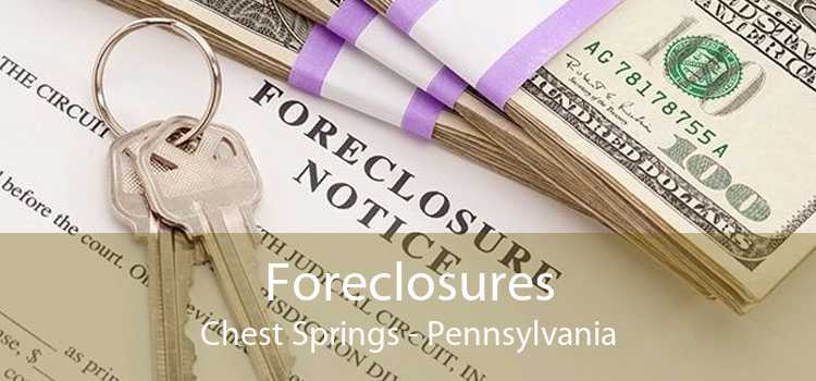 Foreclosures Chest Springs - Pennsylvania