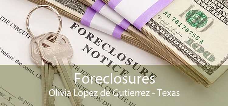 Foreclosures Olivia Lopez de Gutierrez - Texas