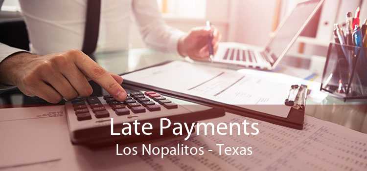 Late Payments Los Nopalitos - Texas