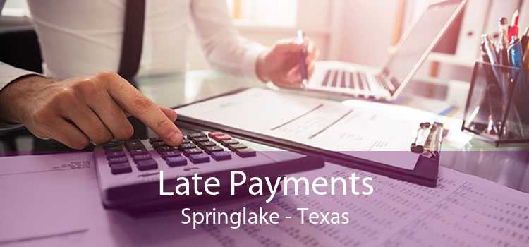 Late Payments Springlake - Texas