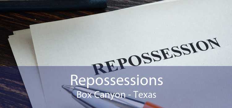 Repossessions Box Canyon - Texas