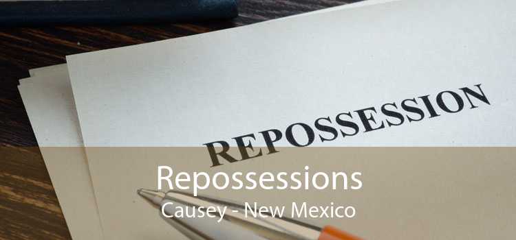 Repossessions Causey - New Mexico