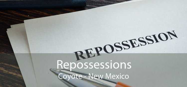 Repossessions Coyote - New Mexico