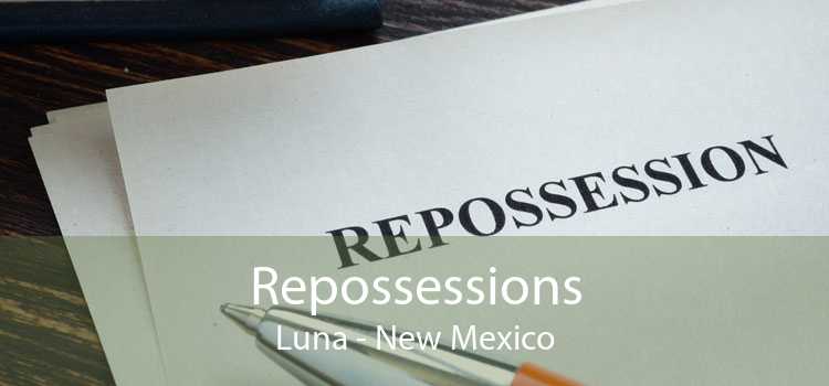 Repossessions Luna - New Mexico