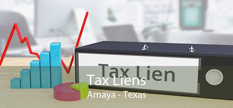 Tax Liens Amaya - Texas