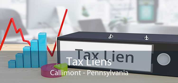 Tax Liens Callimont - Pennsylvania