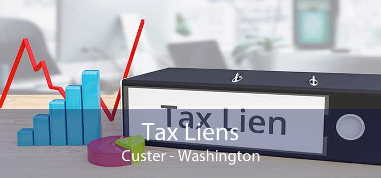 Tax Liens Custer - Washington