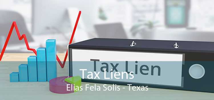 Tax Liens Elias Fela Solis - Texas