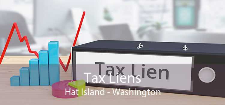 Tax Liens Hat Island - Washington