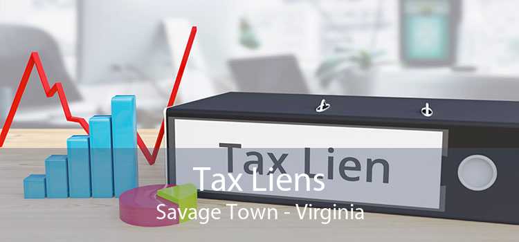 Tax Liens Savage Town - Virginia