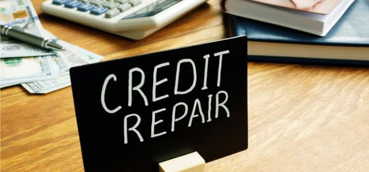 Self Credit Repair in Amistad, TX